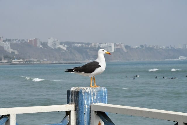 mejores playas de peru