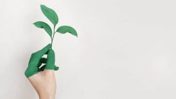 paises con ecoturismo