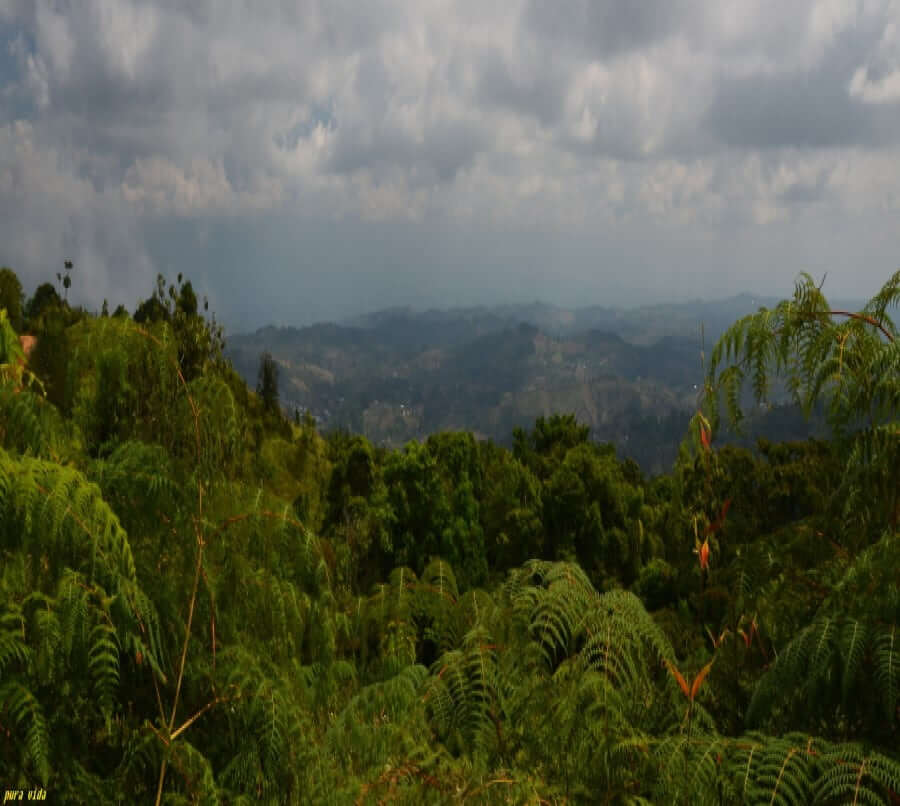 costa rica