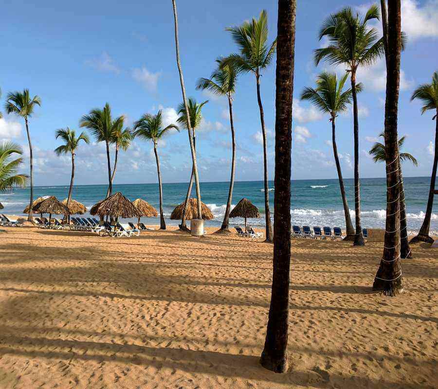 Qué Hacer en Punta Cana: Mejores Playas y Excursiones