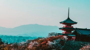 curiosidades de japon
