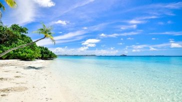 Que ver y hacer en Punta Cana